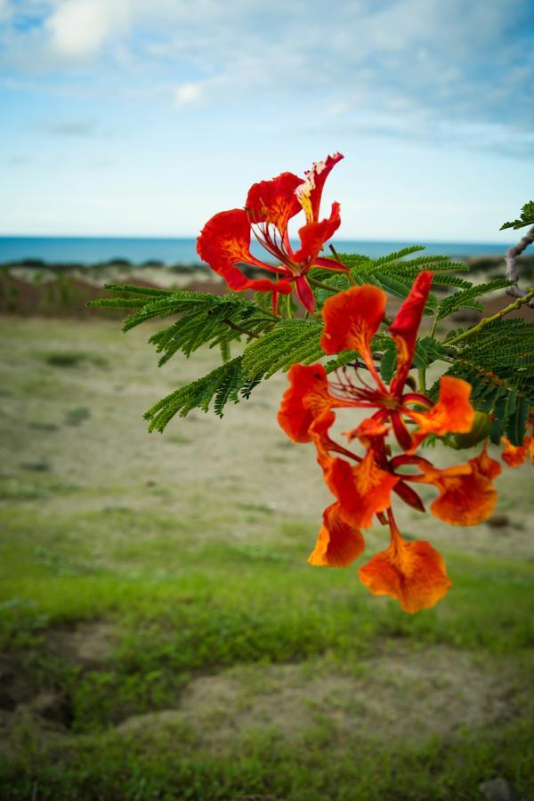Villa Al Fe Los Órganos 部屋 写真